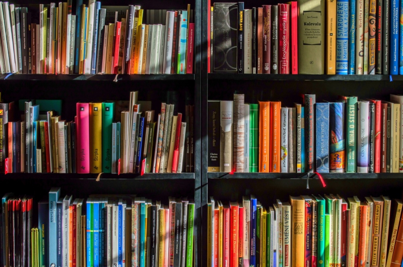 vente-PUGET THENIERS-min_books_bookstore_book_reading_shop_writer_sale_books_read-822866